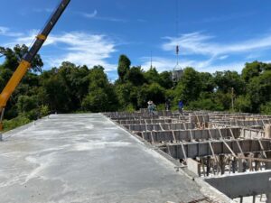 photo 6249042317939949780 y (2)