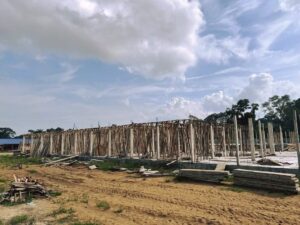 photo 6255554132605780126 y (2)