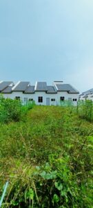 photo 6266979759225421275 y (1)