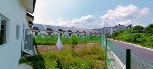 photo 6266979759225421287 y (1)