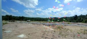 photo 6307434438438536402 y